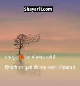 mohabbat bhari shayari hindi me