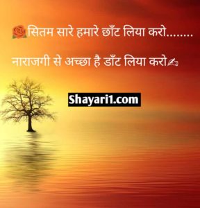 love couple shayari in hindi
